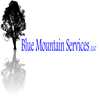 Blue Mountain Services logo