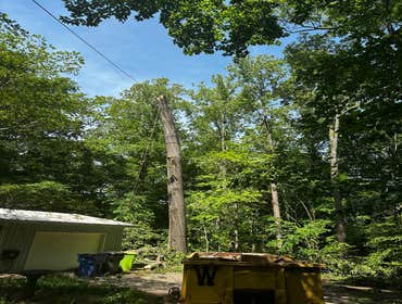 Flores Tree Services General & Landscaping