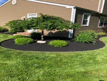Photos by Ed Francos Simply Green, LLC #1