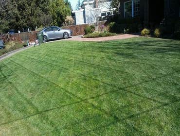 Photos by Merlos Landscaping #3