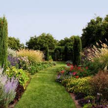 Lidc Irrigation and Landscape