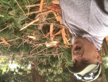 Storm damage repairs