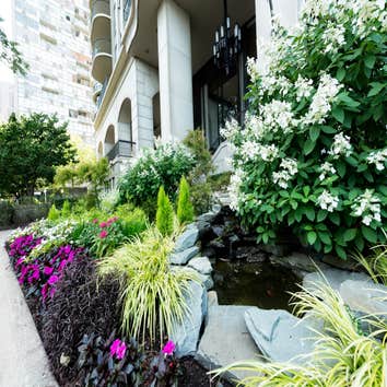 Chicago Residential Landscapes
