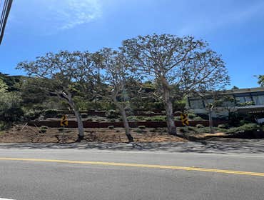 Photos by California Green Tree Care #1