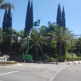 Villeda Tree Services