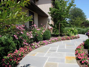 PB's Greenthumb Landscaping Project