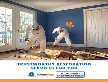 Photos by Floodpros, Usa #1