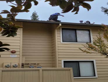 Photos by Tig Construction Inc #1