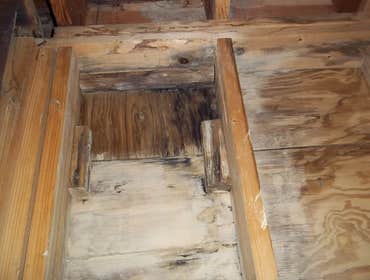 Photos by Home and Structure Inspections #1
