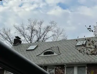 Photos by Noble Roofing #1