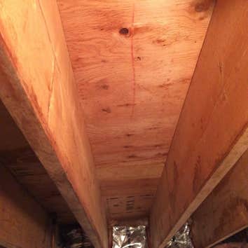 After mold removal