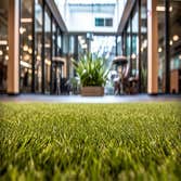 Photos by Halo turf #2