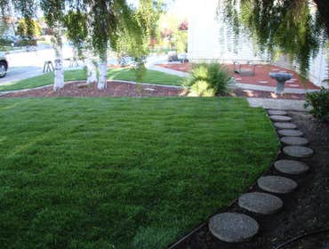 Landscaping