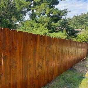 Photos by Rkc Wood Care Pros #1