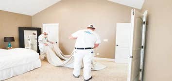 Painter1 of Utah County