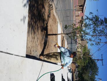 Photo(s) from Mannys Landscape & Irriagation