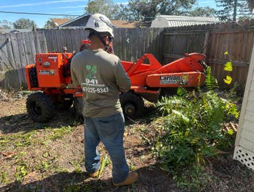 Photos by 941 Tree Services LLC #3