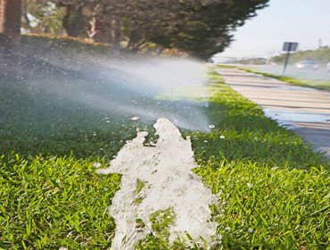 Broken Sprinkler Head