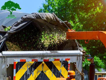 Photos by Acosta Tree Service Inc #5
