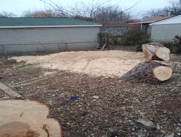 After Tree Removal & Stump Grinding