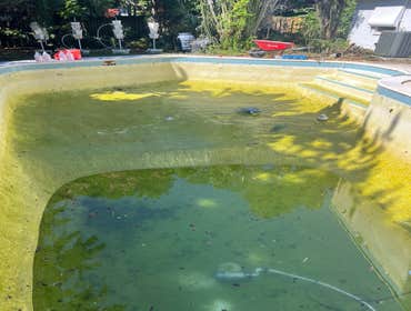 Pool Remodel