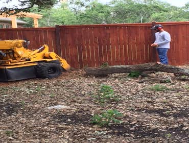 Photos from South Texas Tree of Life Tree S.Tx Tree of Life Tree Service