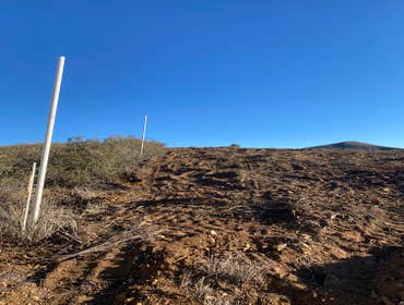 Photos by Pristine Pines Solutions LLC #1