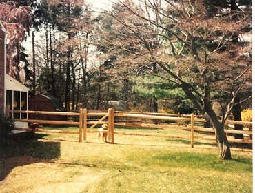 Post & Rail Dog Fence