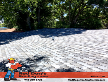 Photos by Red dog's Roofing of Florida #1