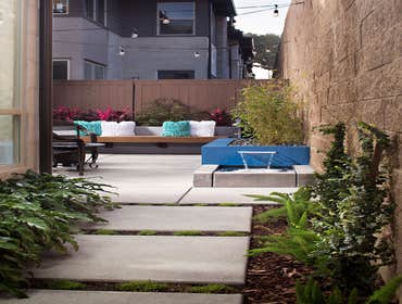 Photos by Promised Path Landscape Inc. #5