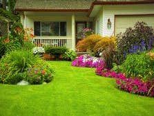 Photos from Mfp Landscaping Inc