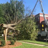 Frady Tree Care
