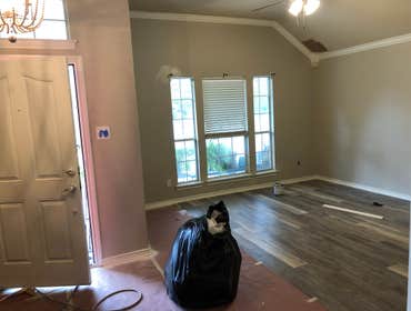 Photos by Dallas Paint Pro #1