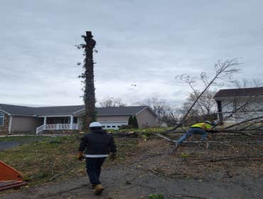 Photos by Hernandez Tree Services #35