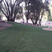 Artificial Turf and Putting Green Installations