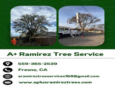 Photos by A+ Ramirez Tree Service #13