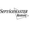 ServiceMaster DSI logo