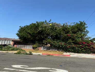 Photos by Jb Sanchez Landscaping #1