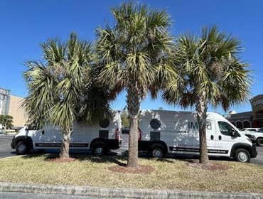Photos by Imold Cleaning and Restoration - Water Damage and Mold Removal Specialists #1