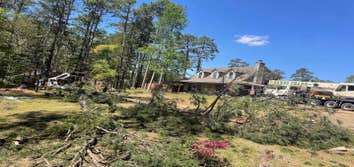 tree removal
