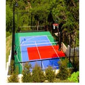 Photos from Sport Court Dallas