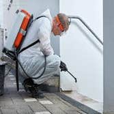 Photos by Enfocus Pest Prevention #1