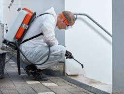 Photos by Enfocus Pest Prevention #1