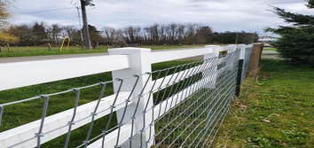Wire and Chain Link