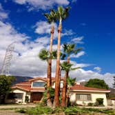 Lorenzo Tree Service