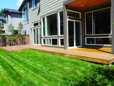 Back Yard redesign