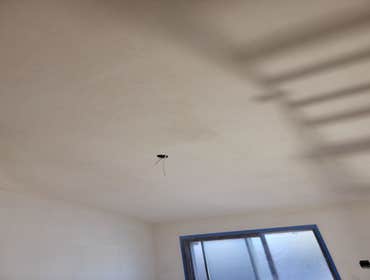 Fine Design Remodeling resume painting, frame, tile, cabinet install, shower, more.