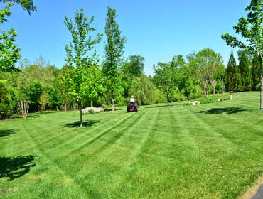 Landscaping