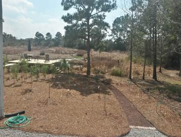 Projects and Plants This gallery shows a combination of projects and beautiful Native Plants. Projects that meet the requirements of a National Wildli