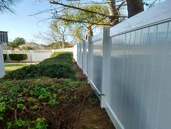 Vinyl Fence